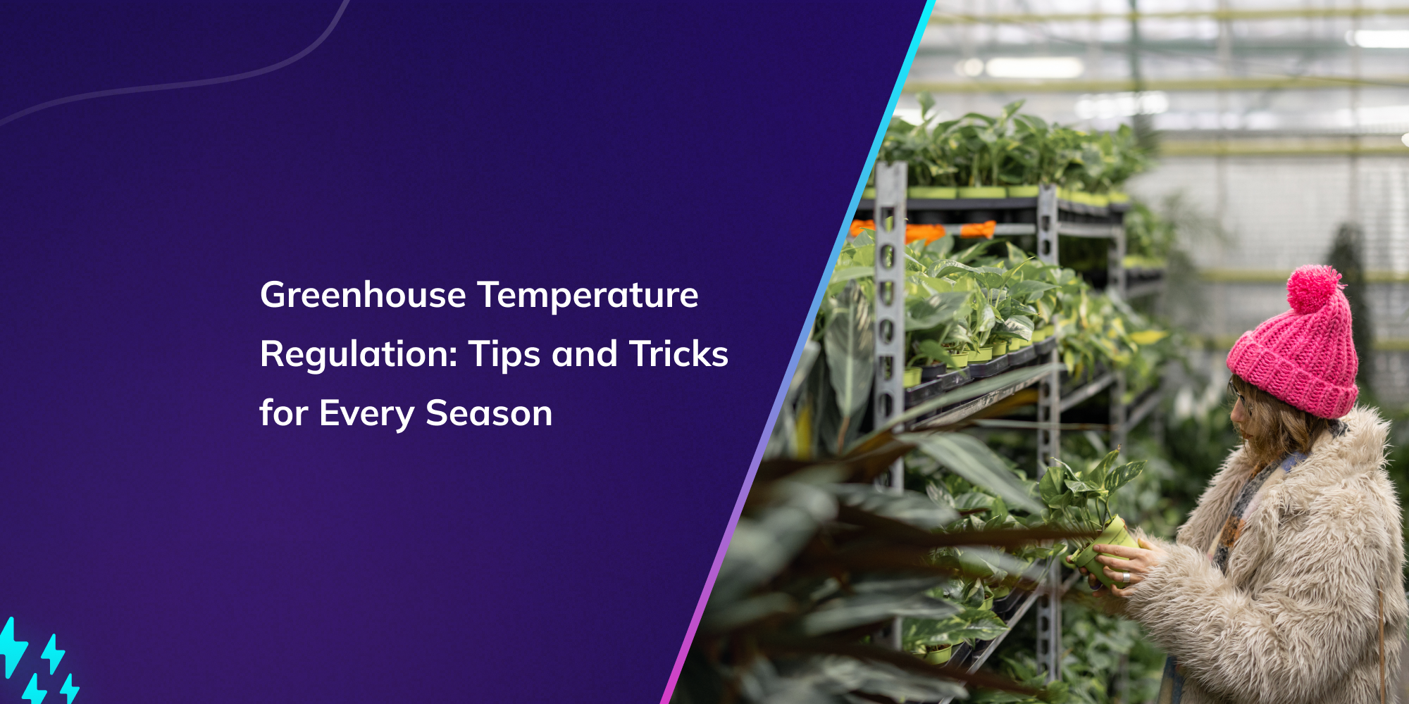 Greenhouse Temperature Regulation: Tips and Tricks for Every Season