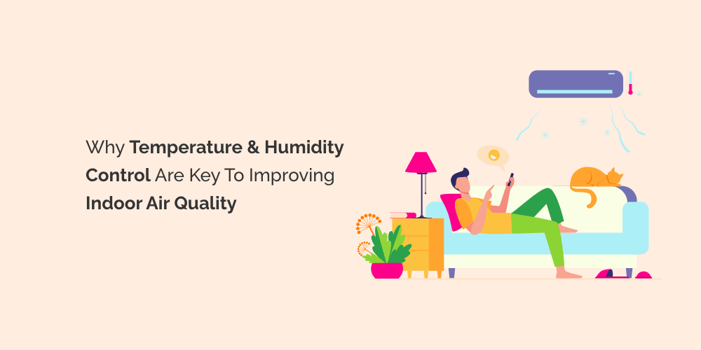 The Ultimate Hack for a Healthy Home: A Temperature and Humidity Monitor