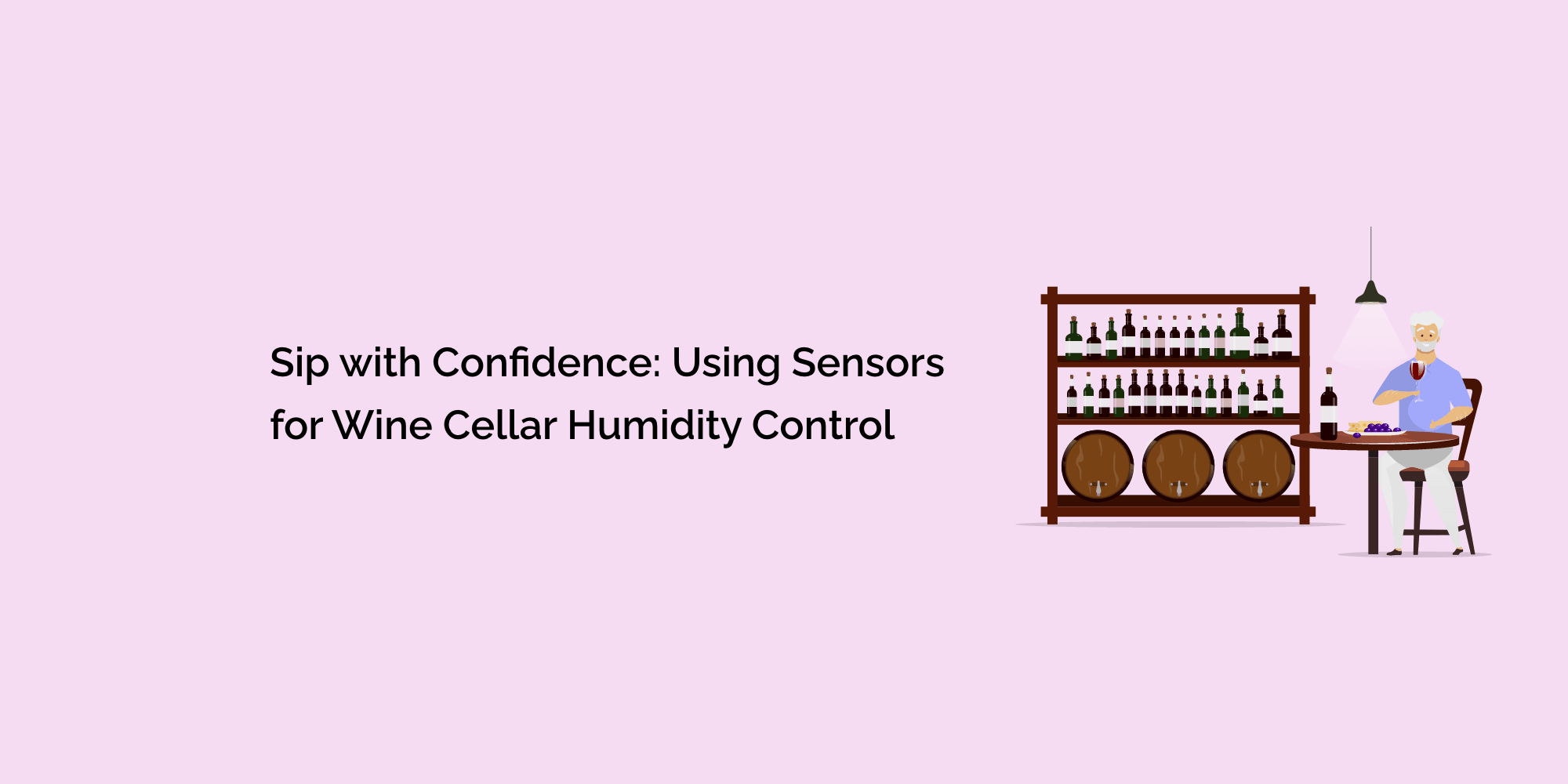 Sip with Confidence: Using Sensors for Wine Cellar Humidity Control