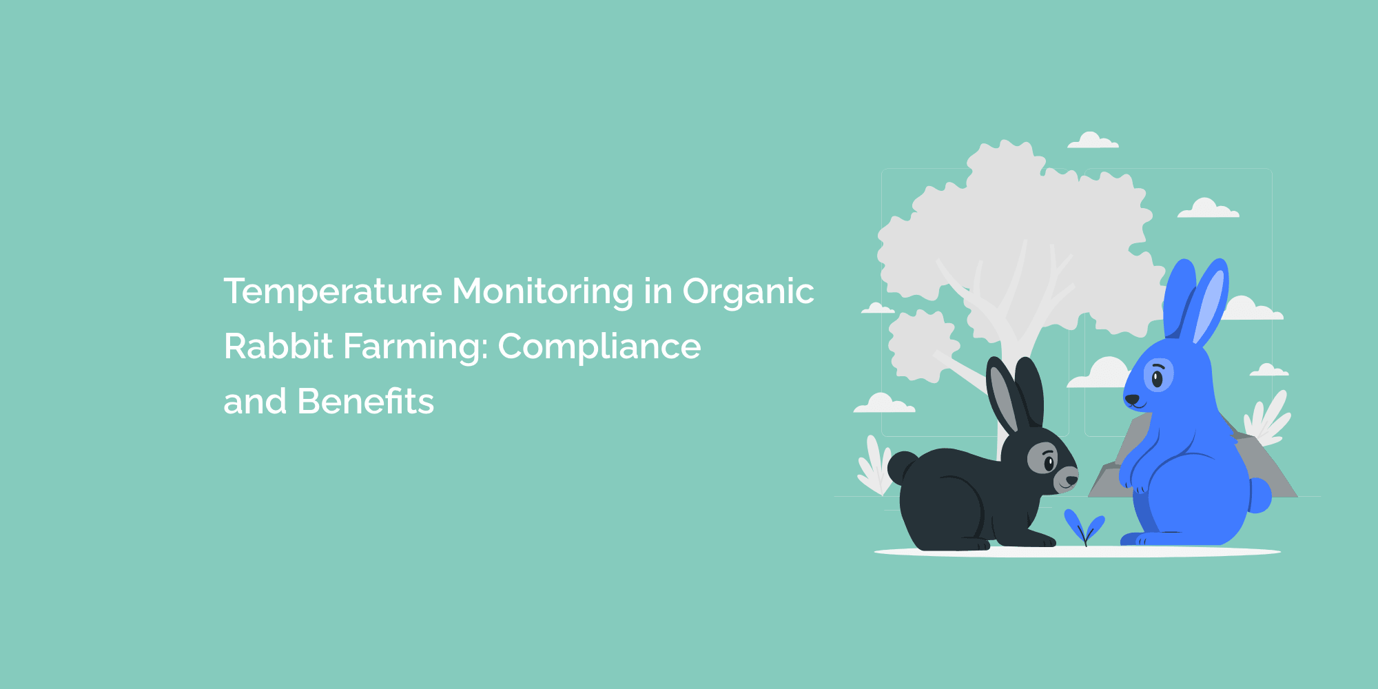 Temperature Monitoring in Organic Rabbit Farming Compliance and Benef tempCube