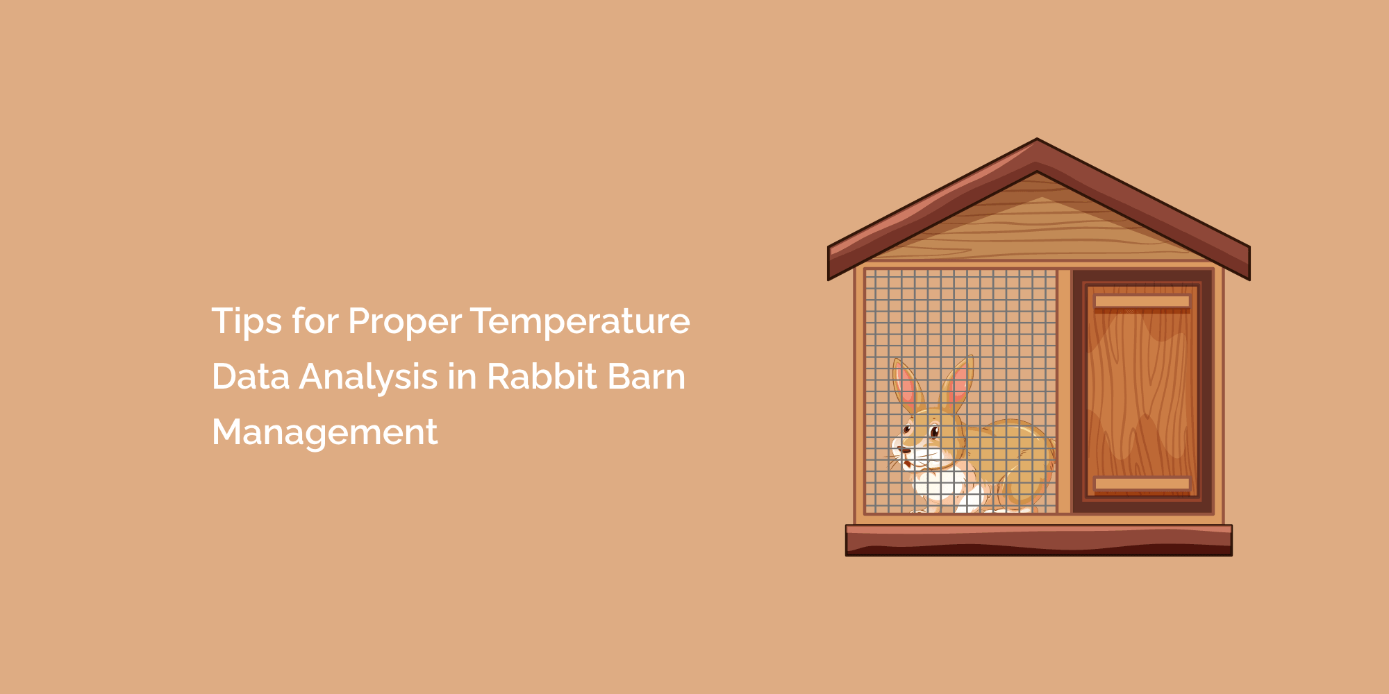 Tips for Proper Temperature Data Analysis in Rabbit Barn Management