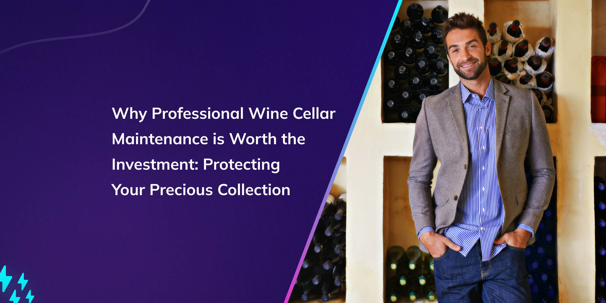 Why Professional Wine Cellar Maintenance is Worth the Investment: Protecting Your Precious Collection