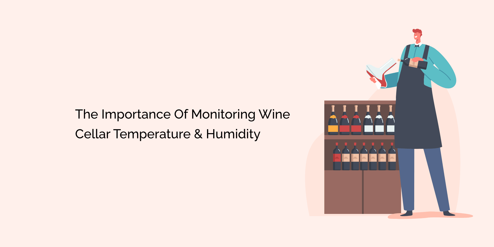 The Importance of Monitoring Wine Cellar Temperature & Humidity tempCube