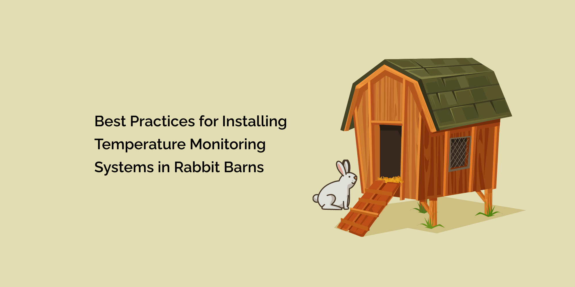 Best Practices for Installing Temperature Monitoring Systems in Rabbit