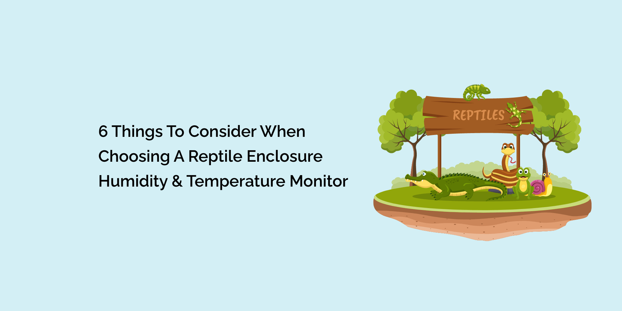 6 Things to Consider When Choosing a Reptile Enclosure Humidity & Temperature Monitor