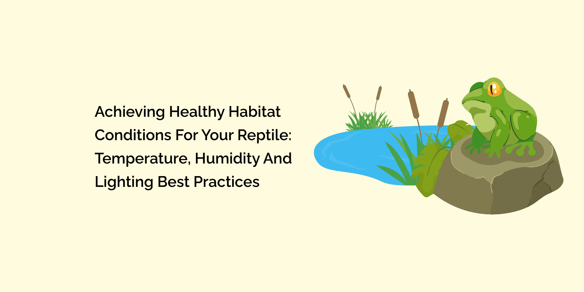 Achieving Healthy Habitat Conditions for Your Reptile: Temperature, Humidity and Lighting Best Practices