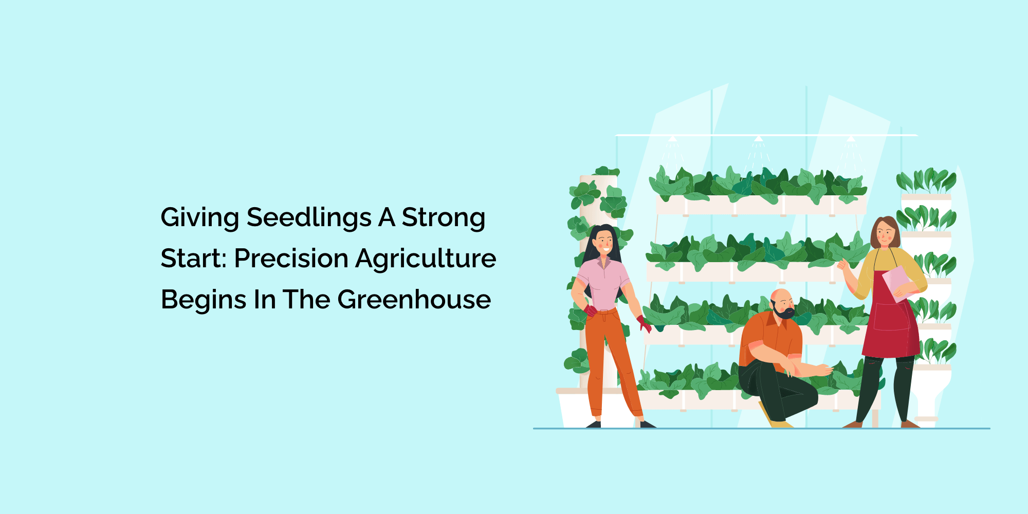 Giving Seedlings a Strong Start: Precision Agriculture Begins in the Greenhouse