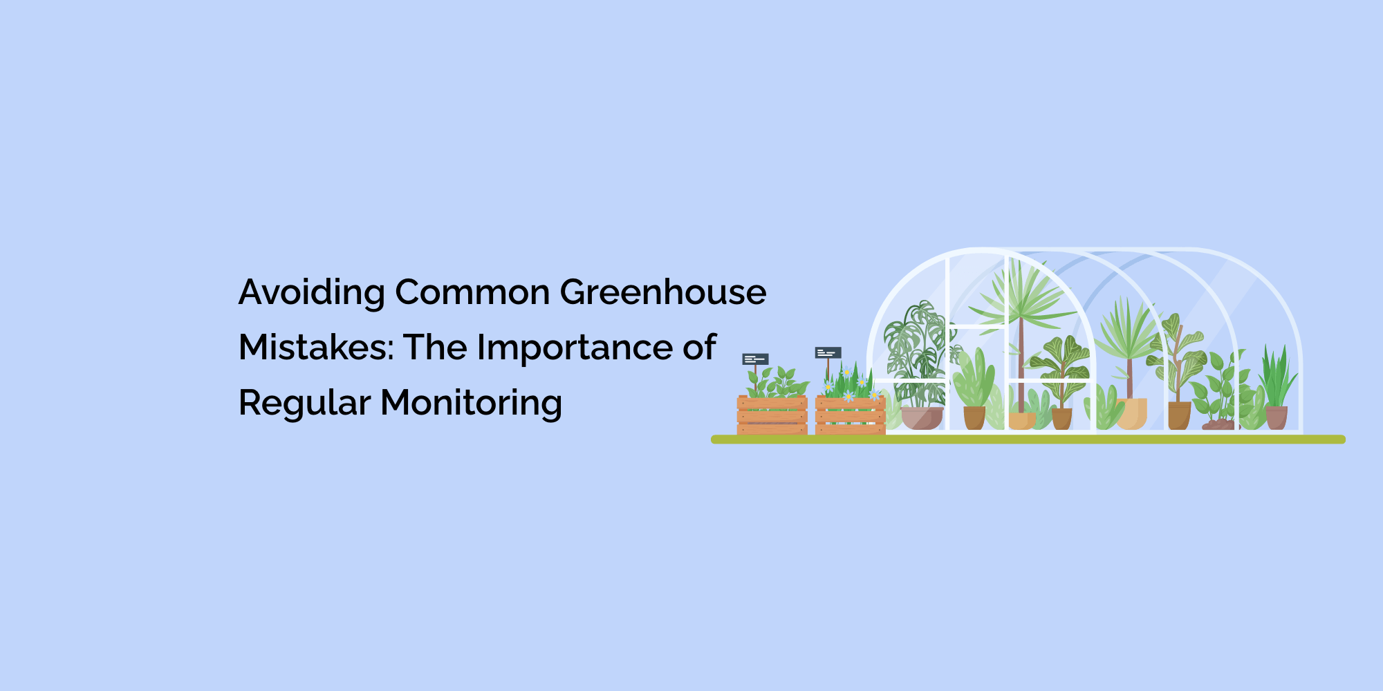 Avoiding Common Greenhouse Mistakes: The Importance of Regular Monitoring
