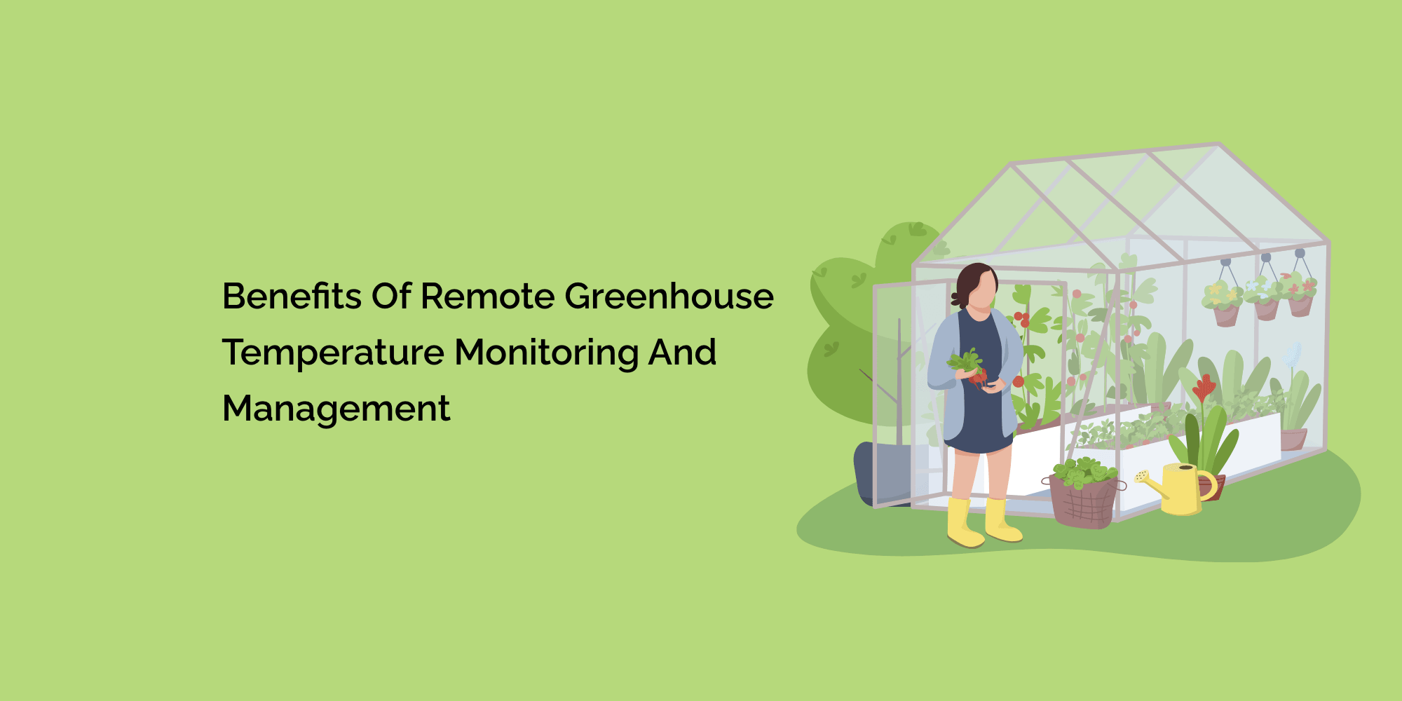 Benefits of Remote Greenhouse Temperature Monitoring and Management