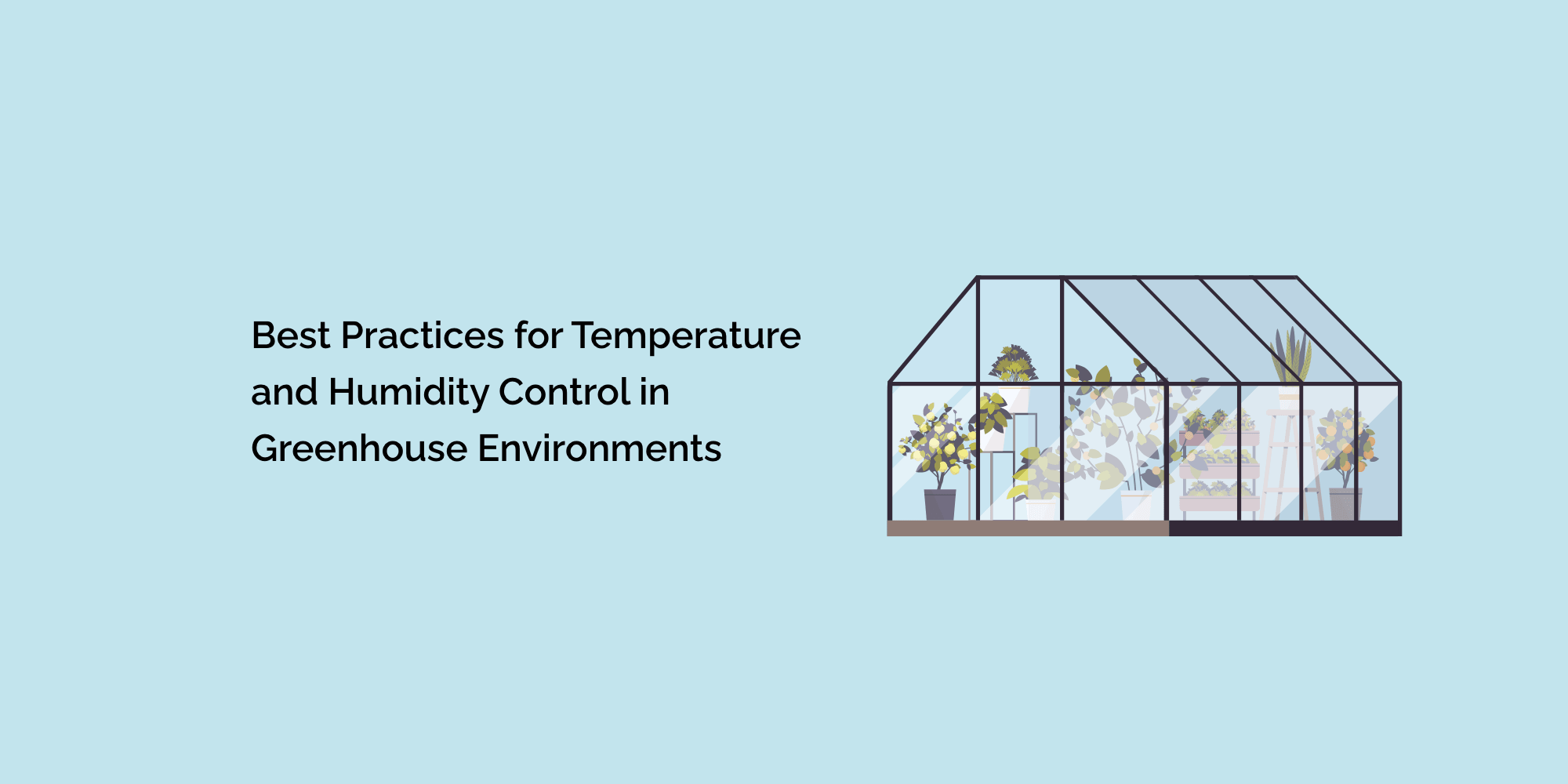 Best Practices for Temperature and Humidity Control in Greenhouse Environments