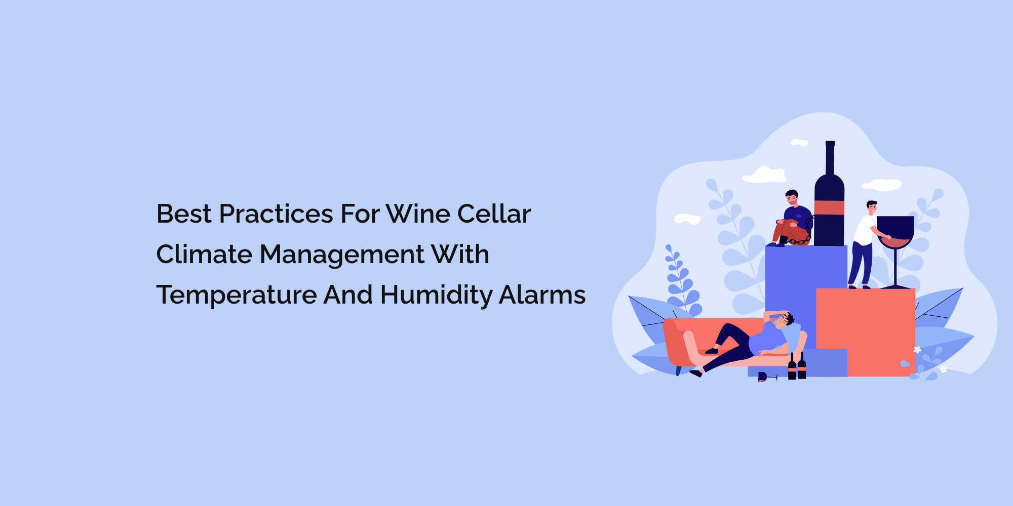Best Practices for Wine Cellar Climate Management with Temperature and Humidity Alarms