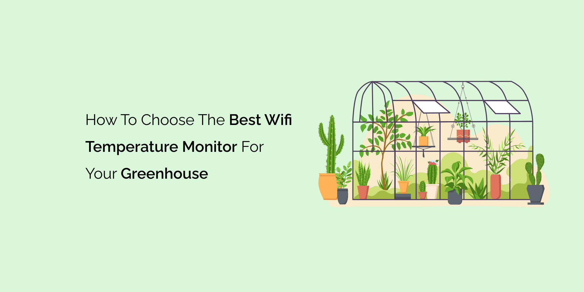 How to Choose the Best Wifi Temperature Monitor for Your Greenhouse