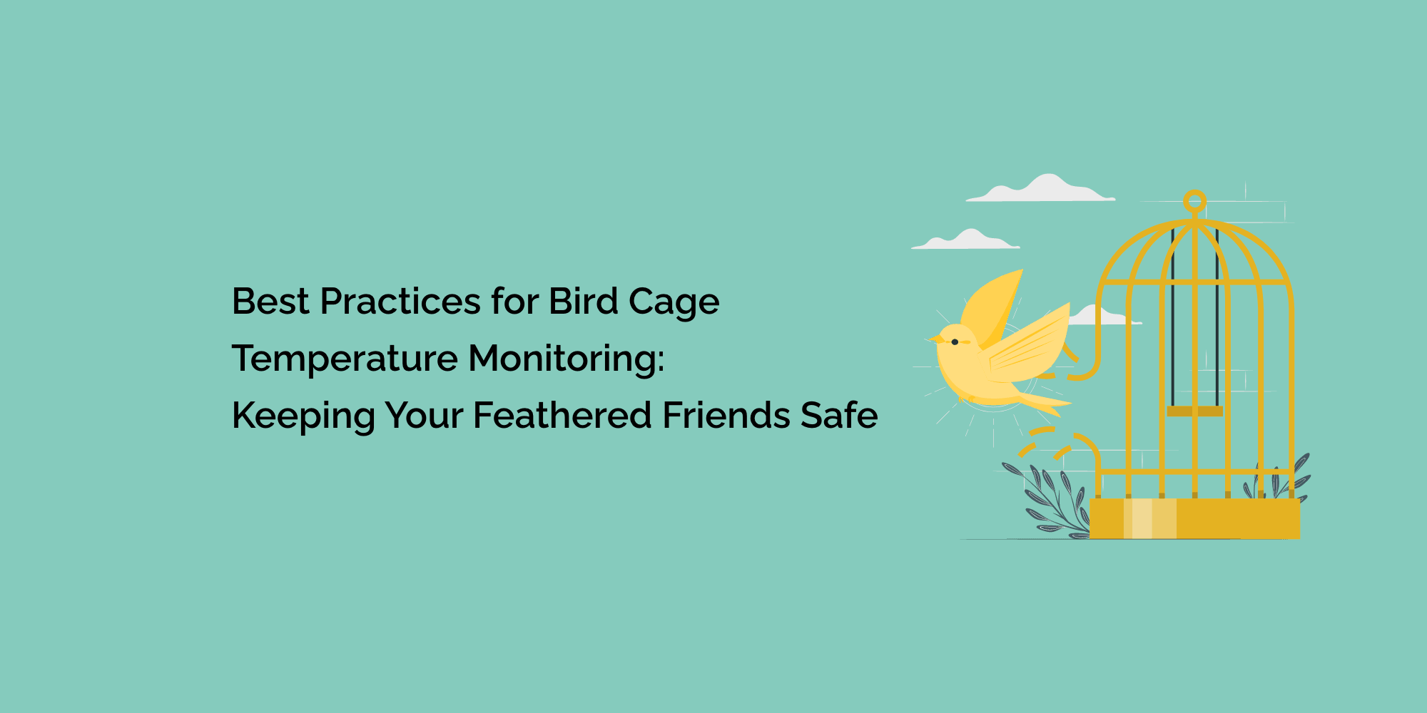 Best Practices for Bird Cage Temperature Monitoring: Keeping Your Feathered Friends Safe