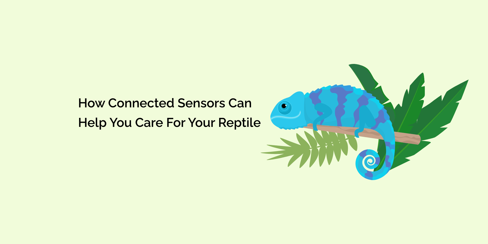 How Connected Sensors Can Help You Care for Your Reptile