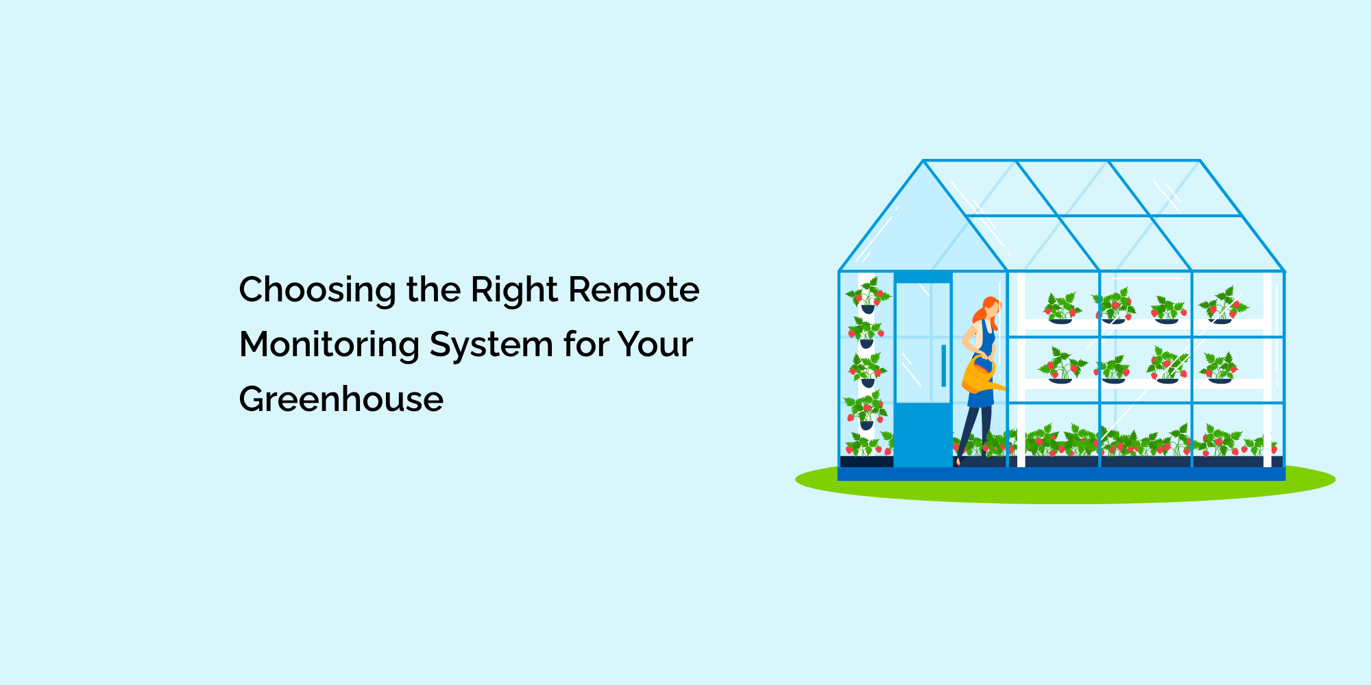 Choosing the Right Remote Monitoring System for Your Greenhouse