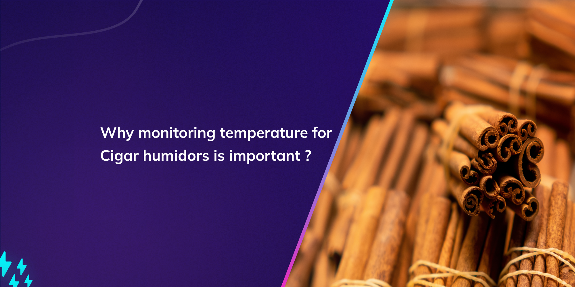 Why monitoring temperature for Cigar humidors is important ?