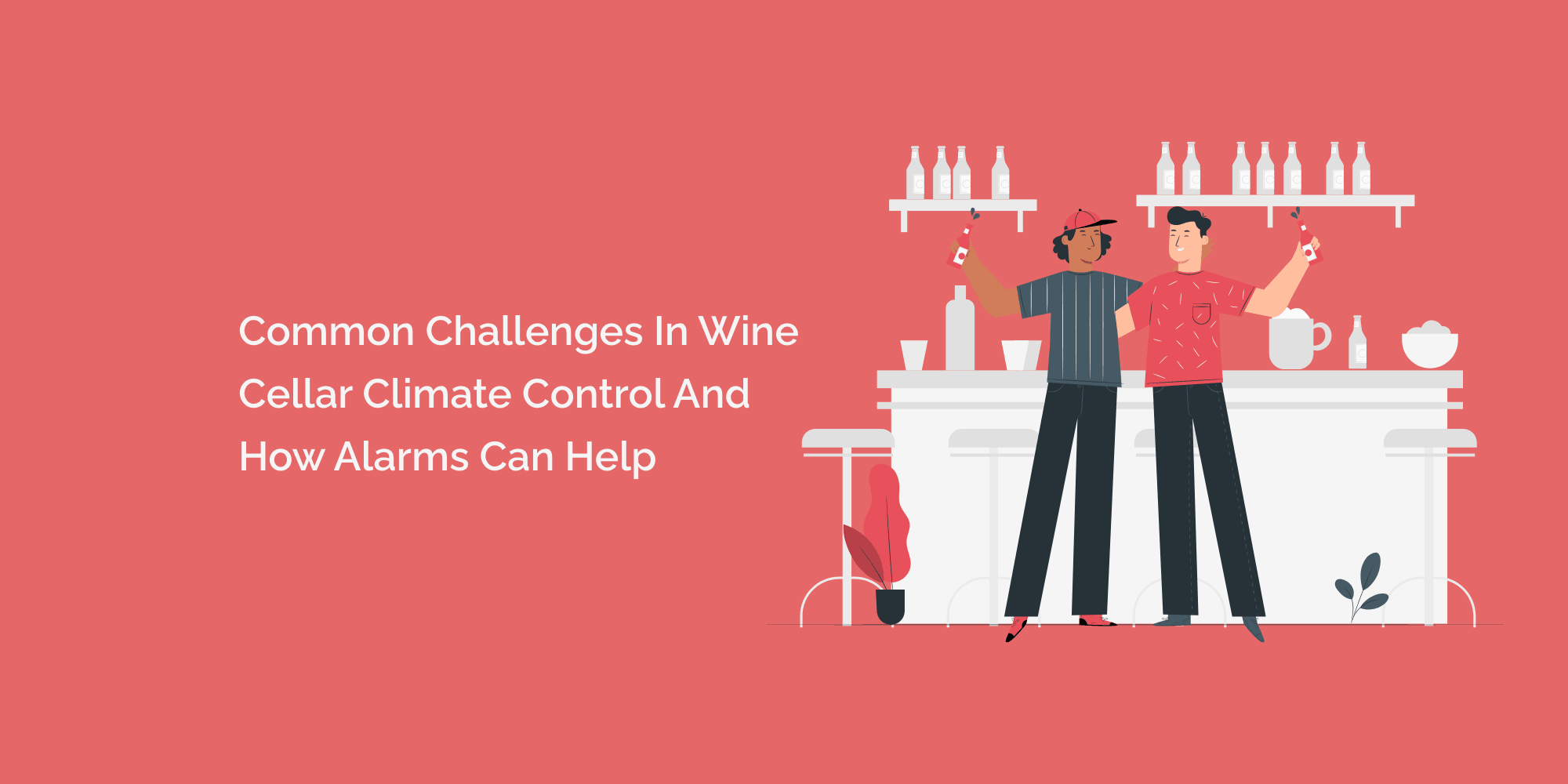 Common Challenges in Wine Cellar Climate Control and How Alarms Can Help