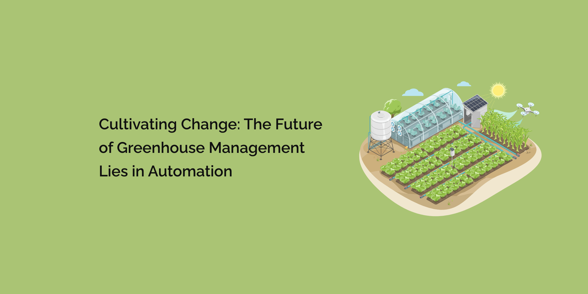 Cultivating Change: The Future of Greenhouse Management Lies in Automation