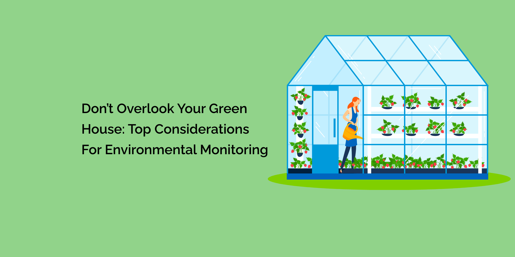 Don't Overlook Your Greenhouse: Top Considerations for Environmental Monitoring