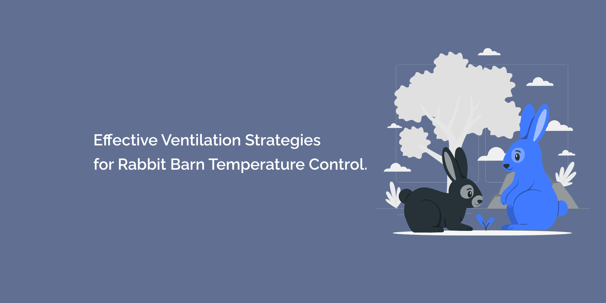 Effective Ventilation Strategies for Rabbit Barn Temperature Control.