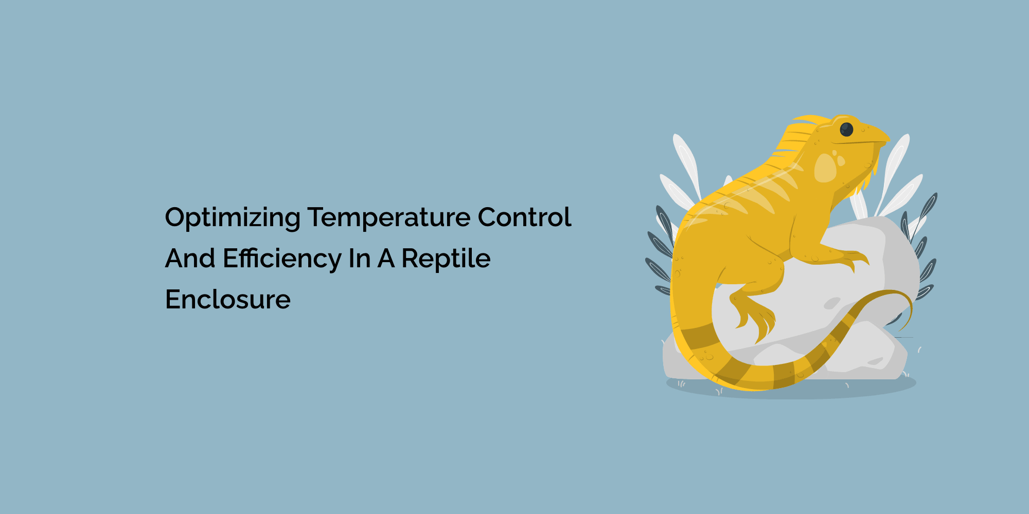 Optimizing Temperature Control and Efficiency in a Reptile Enclosure