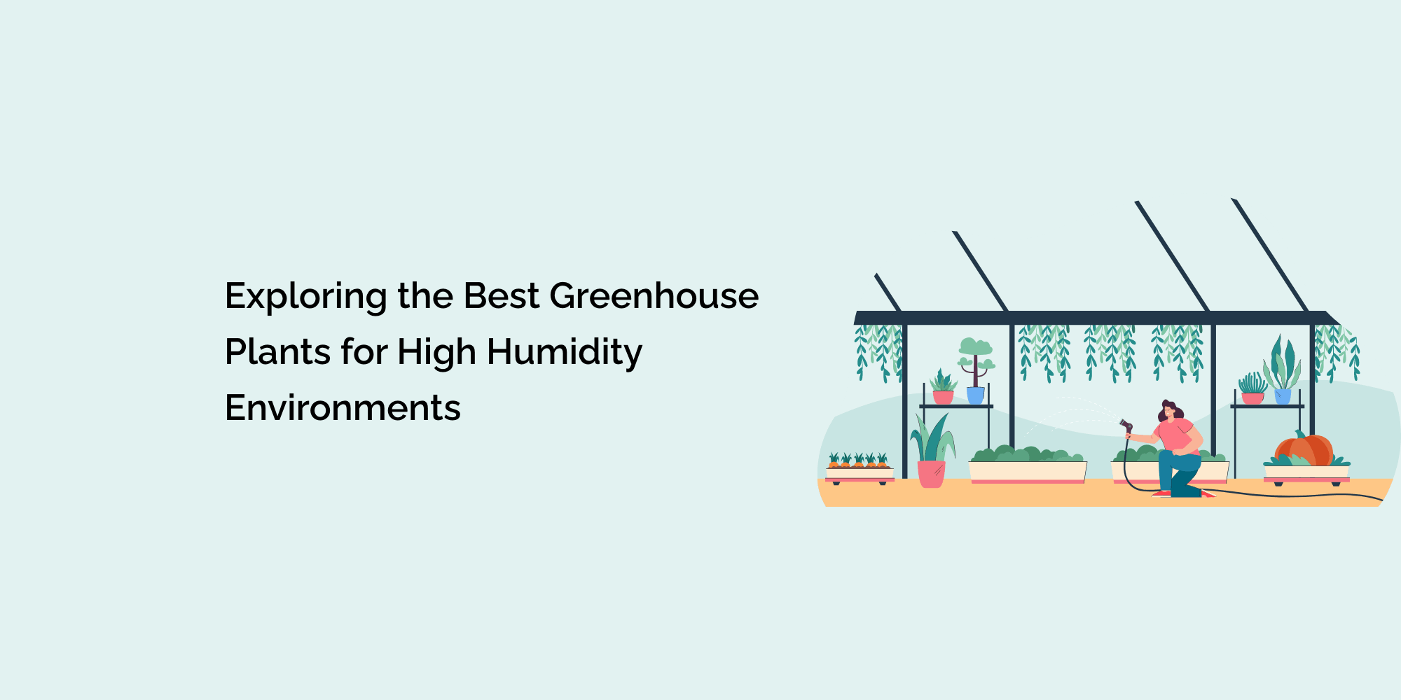Exploring the Best Greenhouse Plants for High Humidity Environments