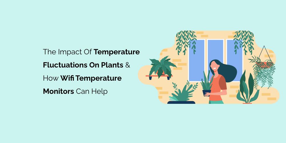 The Impact of Temperature Fluctuations on Plants and How Wifi Temperature Monitors Can Help