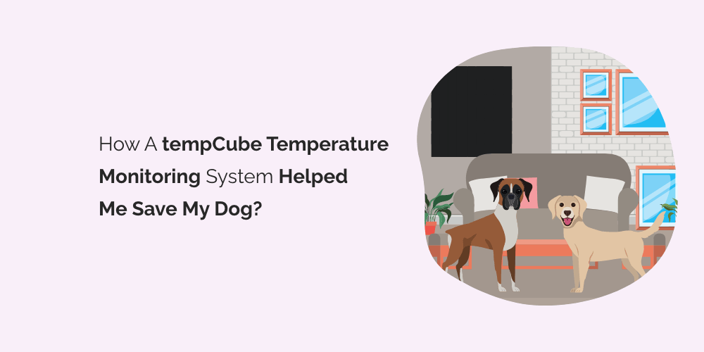 How a tempCube Temperature monitoring system helped me save my dog?