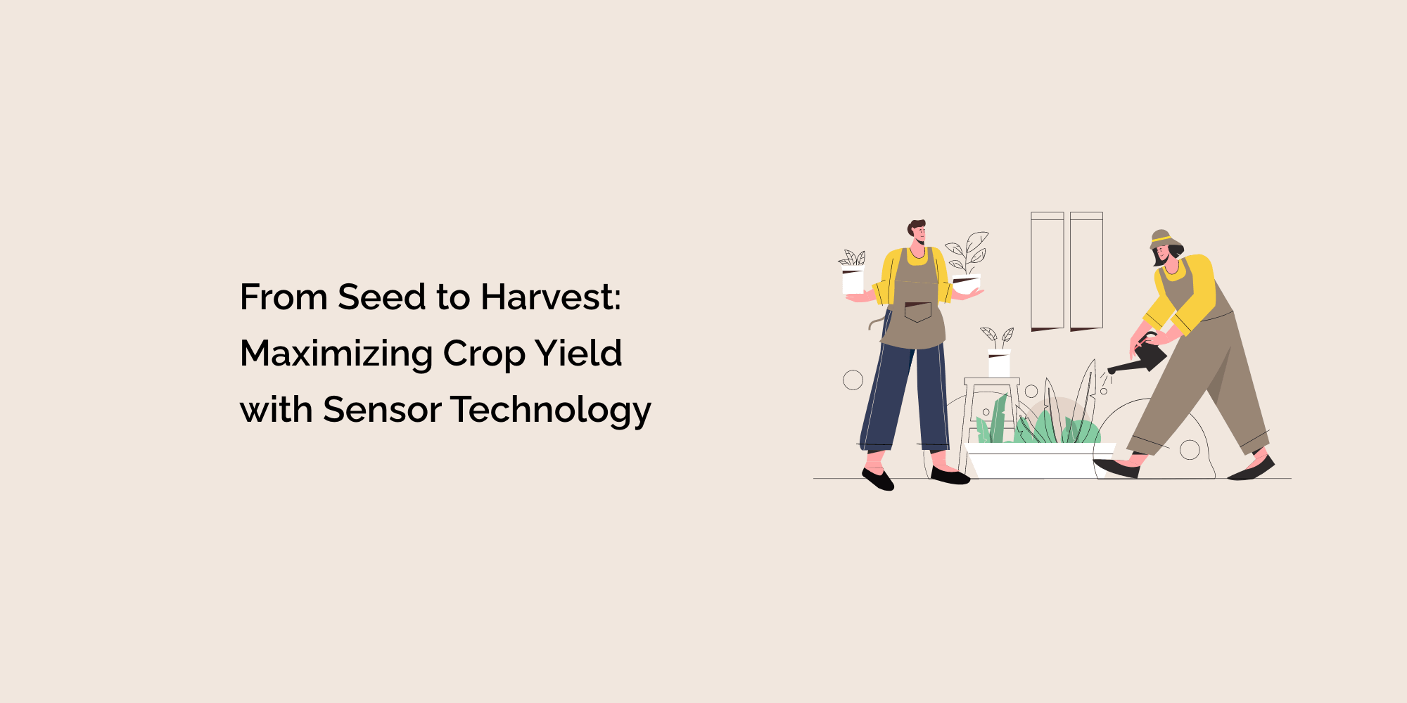 From Seed to Harvest: Maximizing Crop Yield with Sensor Technology