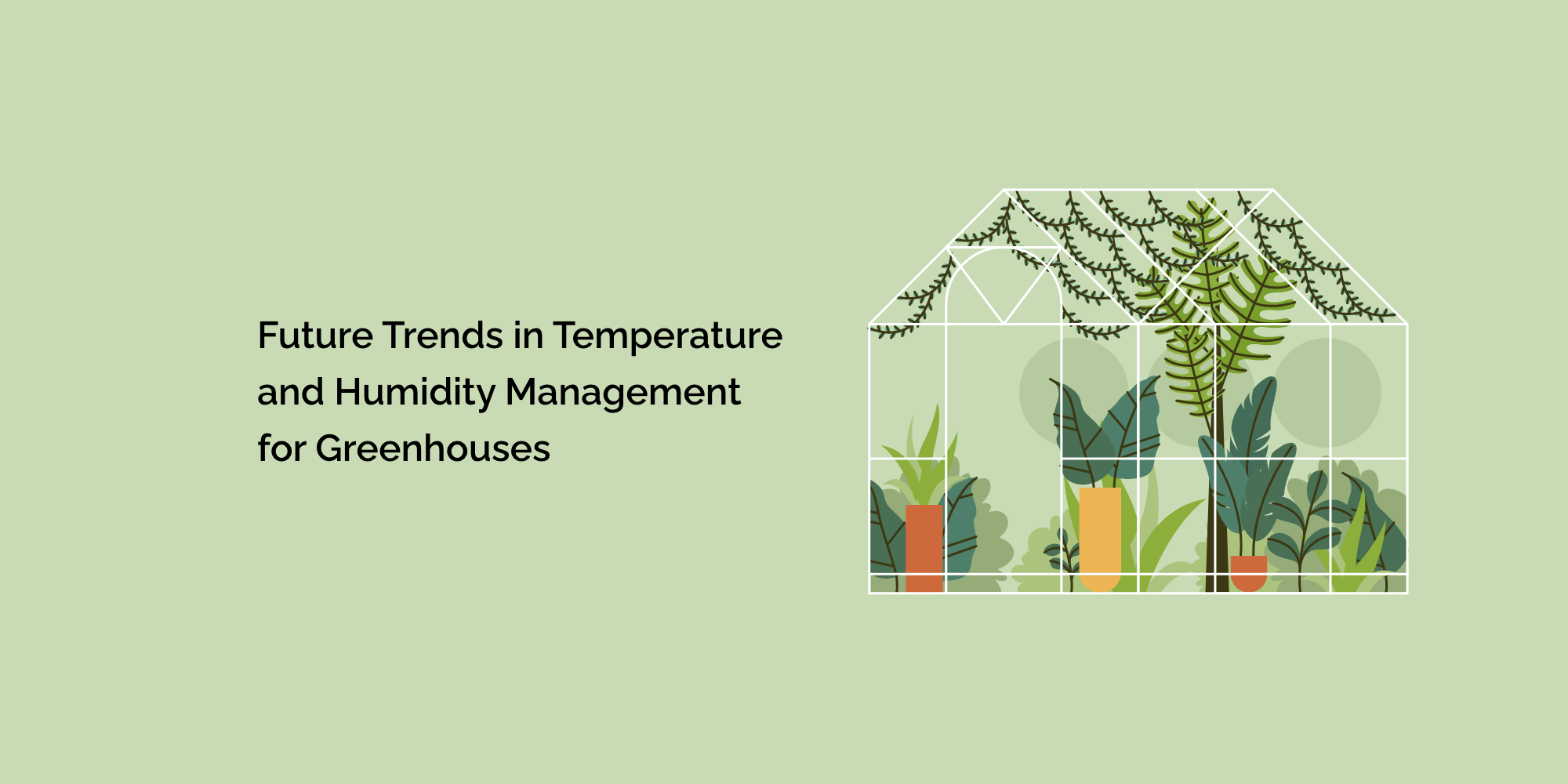 Future Trends in Temperature and Humidity Management for Greenhouses