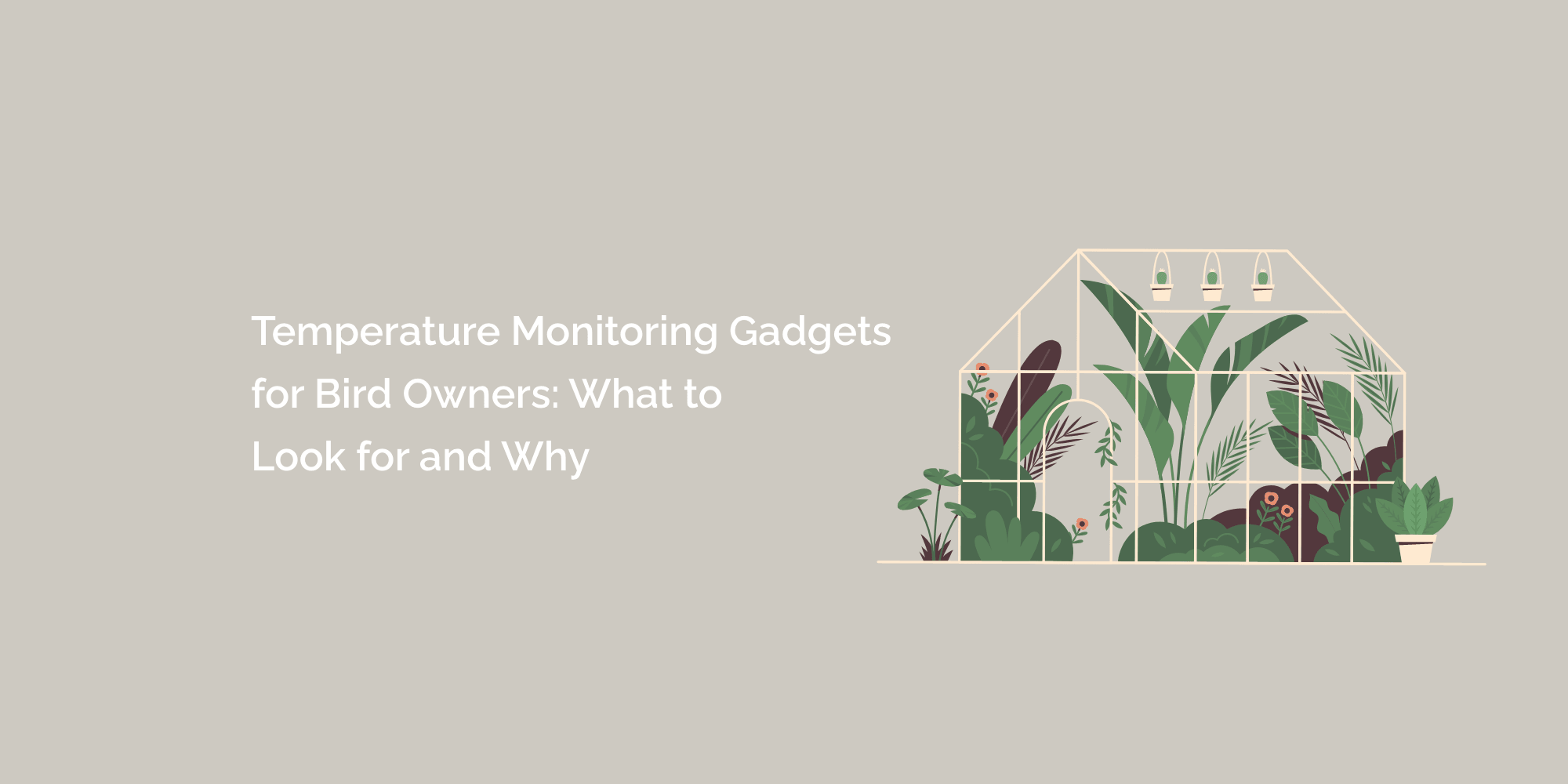 Temperature Monitoring Gadgets for Bird Owners: What to Look for and Why
