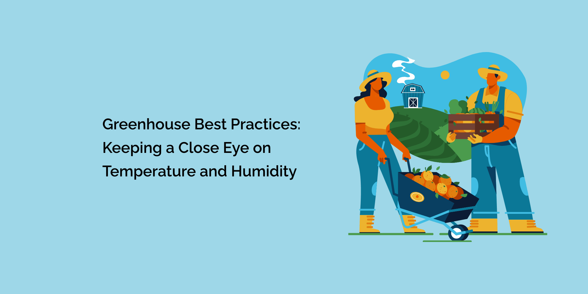 Greenhouse Best Practices: Keeping a Close Eye on Temperature and Humidity