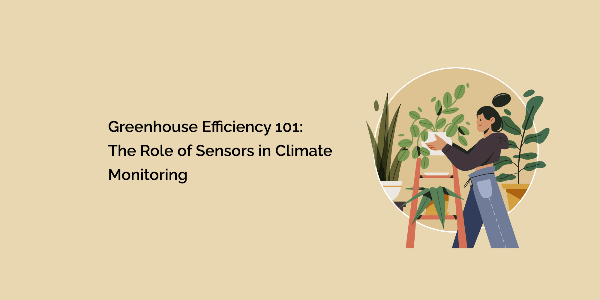 Greenhouse Efficiency 101: The Role of Sensors in Climate Monitoring