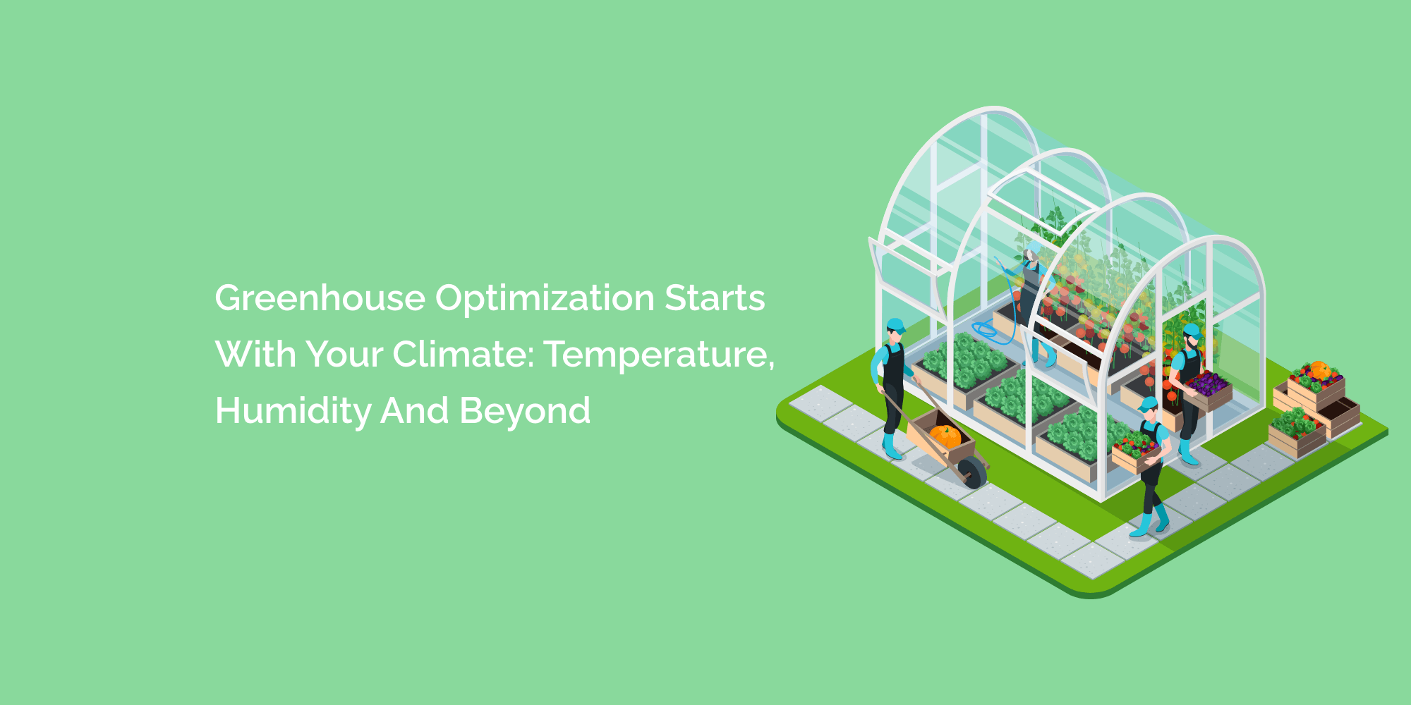 Greenhouse Optimization Starts With Your Climate: Temperature, Humidity and Beyond