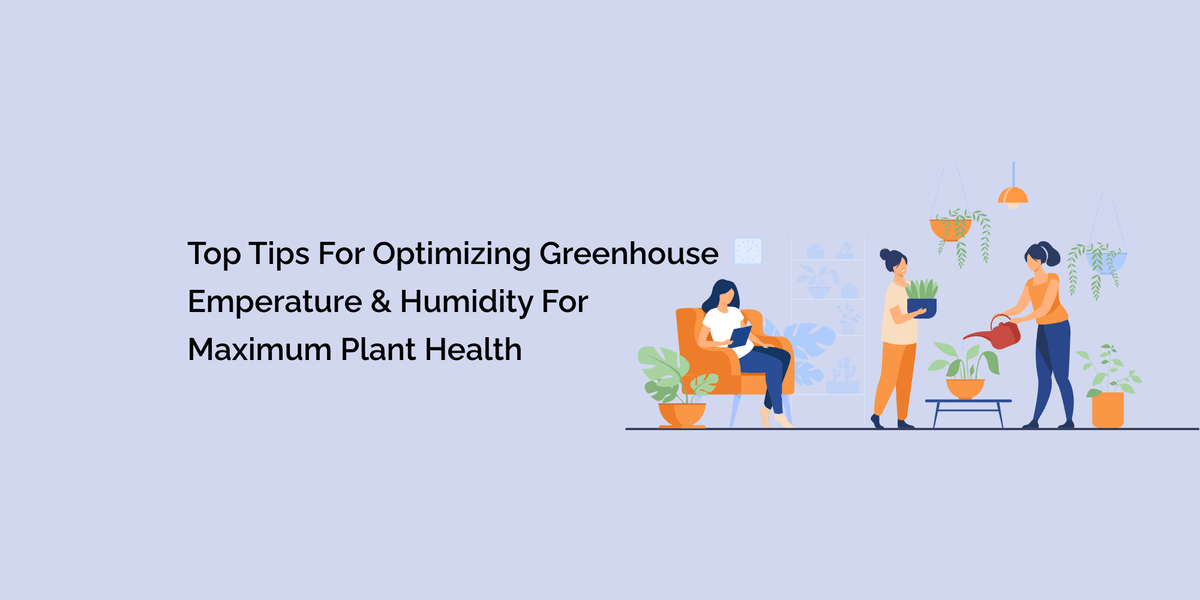 Top Tips for Optimizing Greenhouse Temperature & Humidity for Maximum