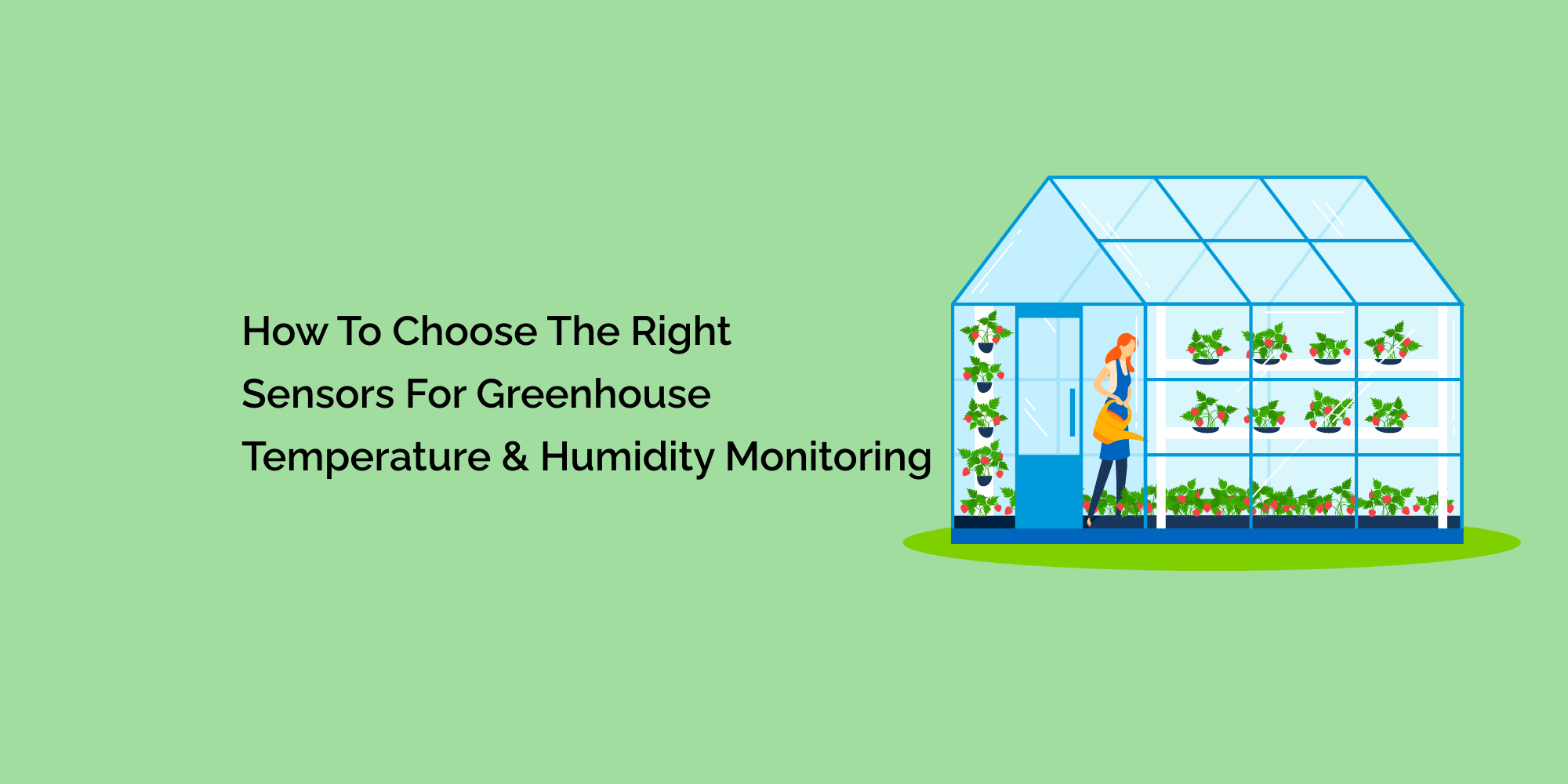 How to Choose the Right Sensors for Greenhouse Temperature & Humidity Monitoring