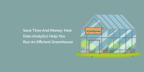 Save Time and Money: How Data Analytics Help You Run an Efficient Greenhouse