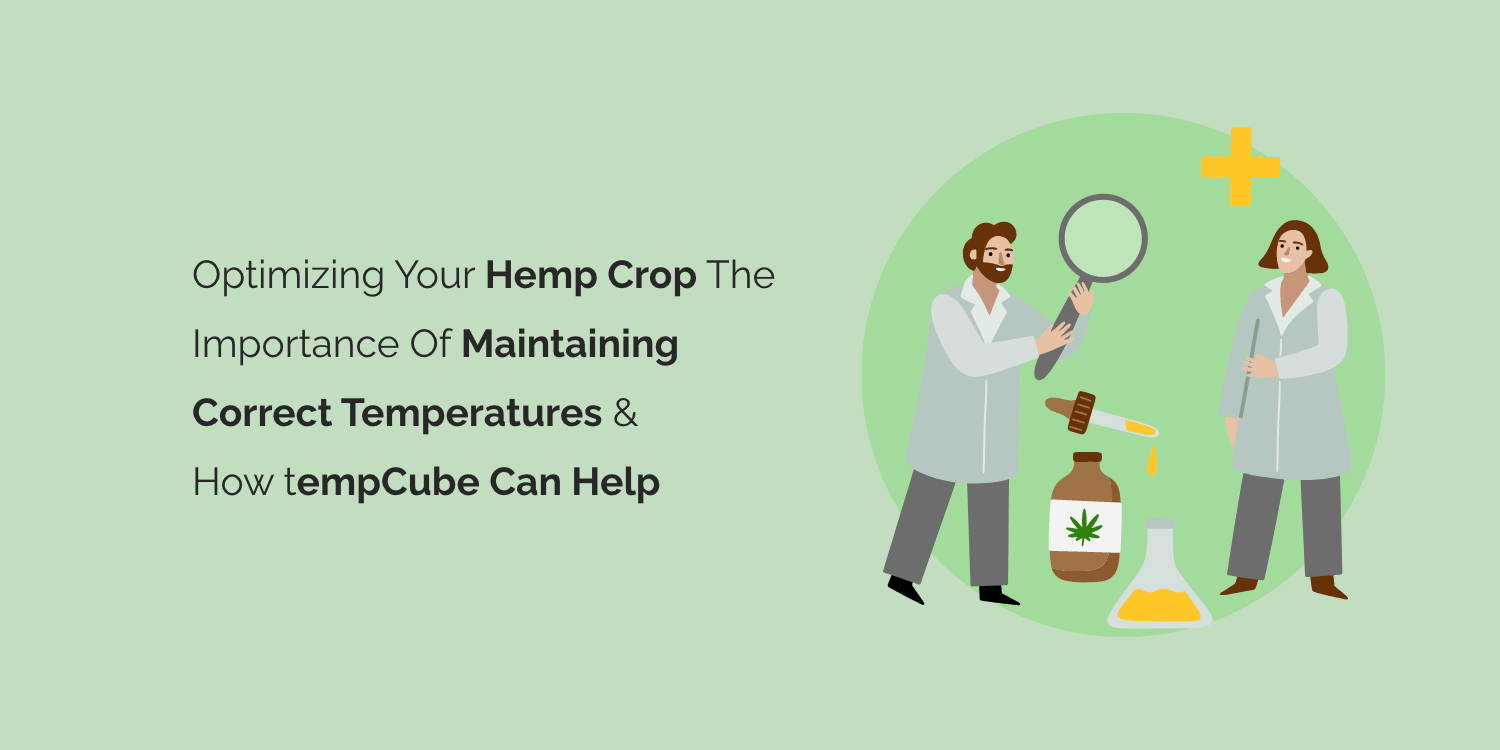 Optimizing Your Hemp Crop: The Importance of Maintaining Correct Temperatures and How TempCube Can Help