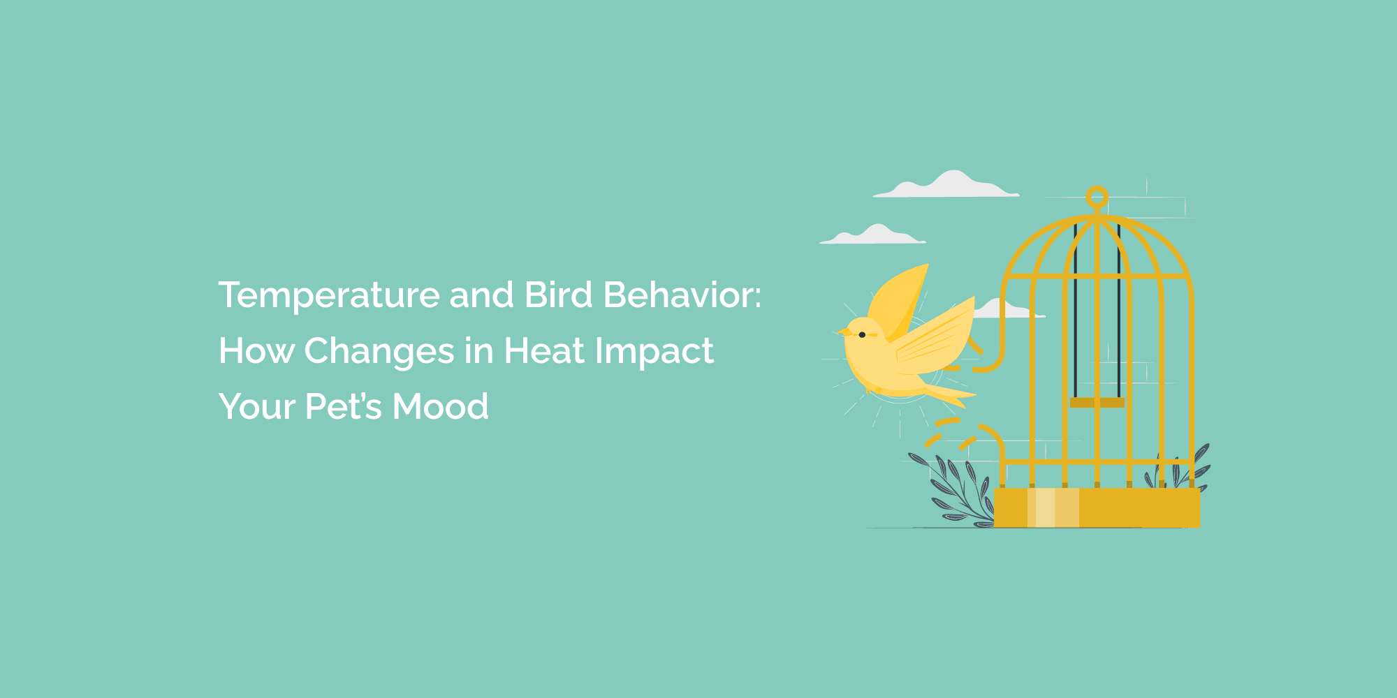 Temperature and Bird Behavior: How Changes in Heat Impact Your Pet's Mood