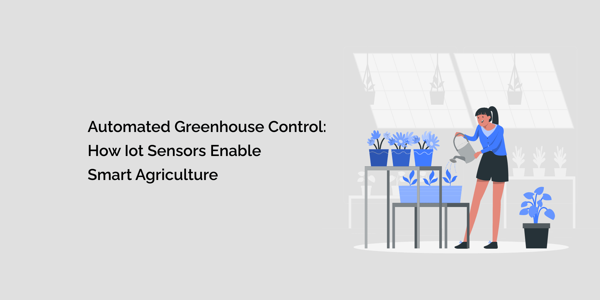Automated Greenhouse Control: How IoT Sensors Enable Smart Agriculture