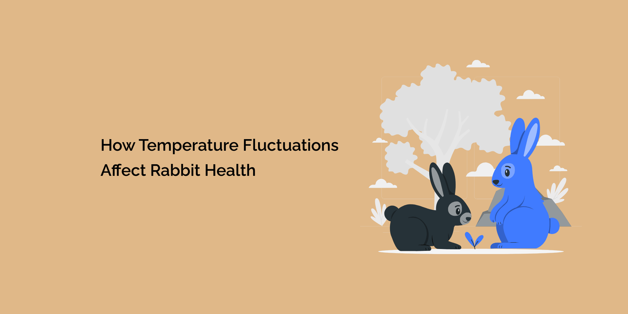 How Temperature Fluctuations Affect Rabbit Health