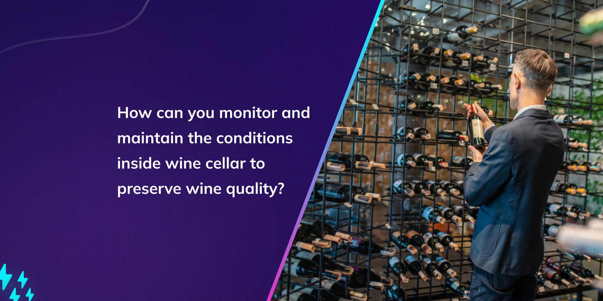 How can you monitor and maintain the conditions inside wine cellar to preserve wine quality?