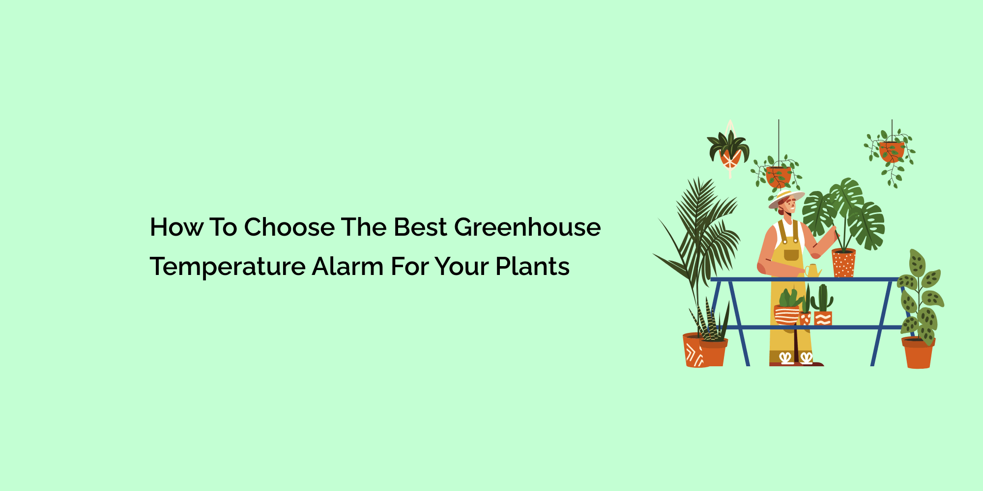 How to Choose the Best Greenhouse Temperature Alarm for Your Plants