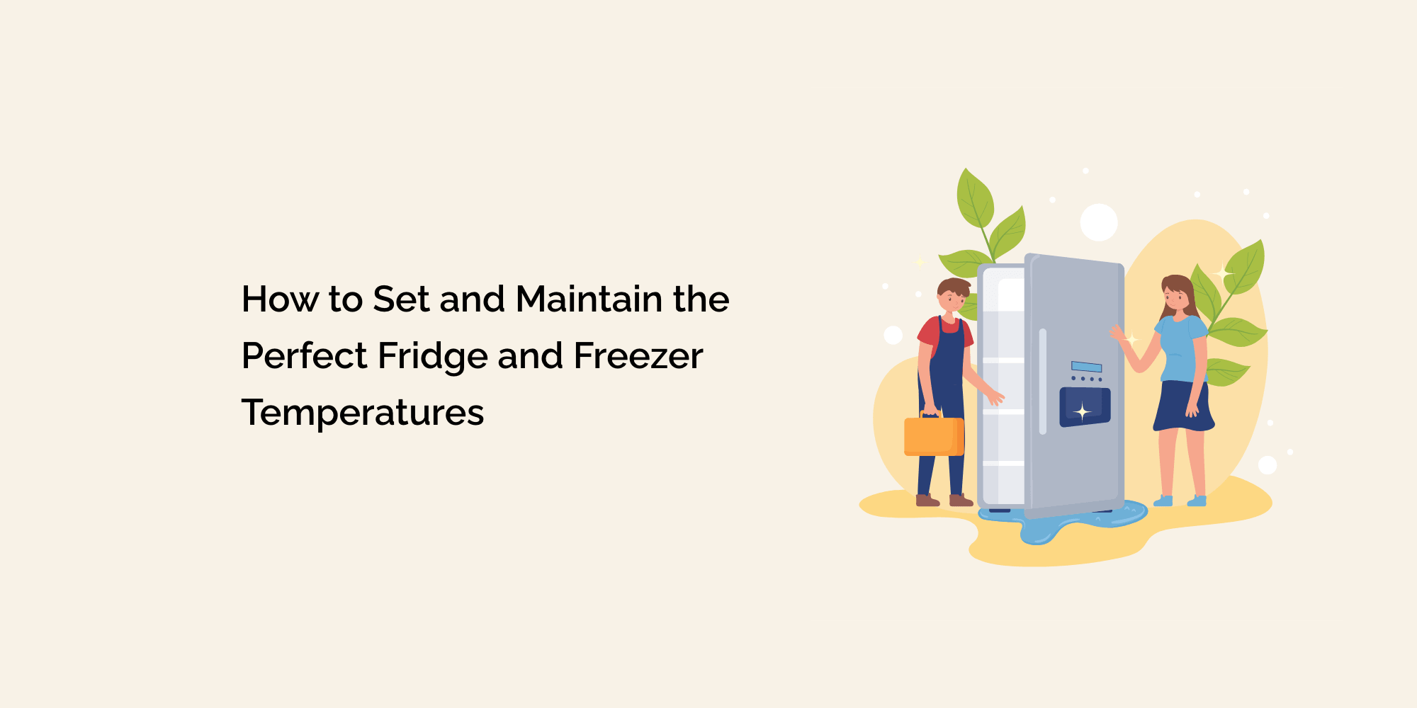 How to Set and Maintain the Perfect Fridge and Freezer Temperatures