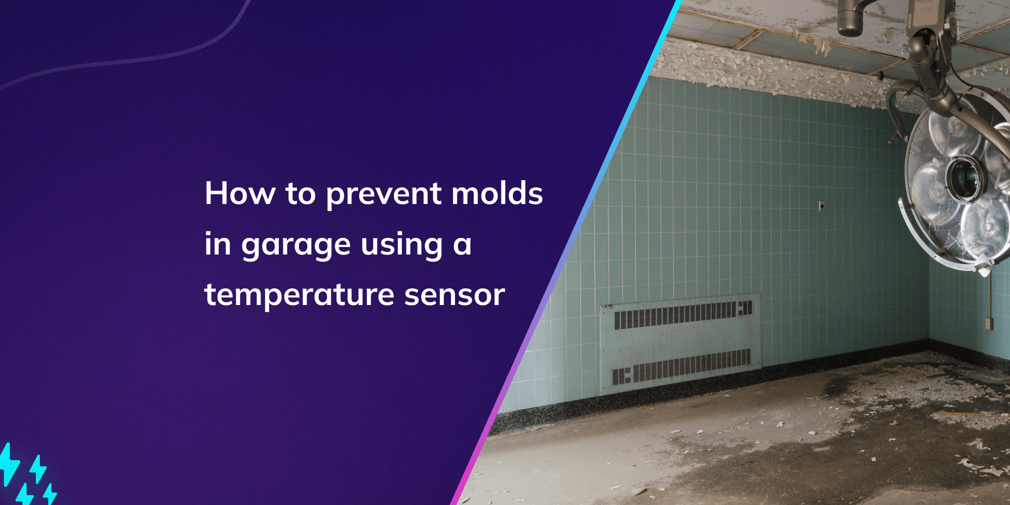 How to prevent molds in garage using a temperature sensor – tempCube