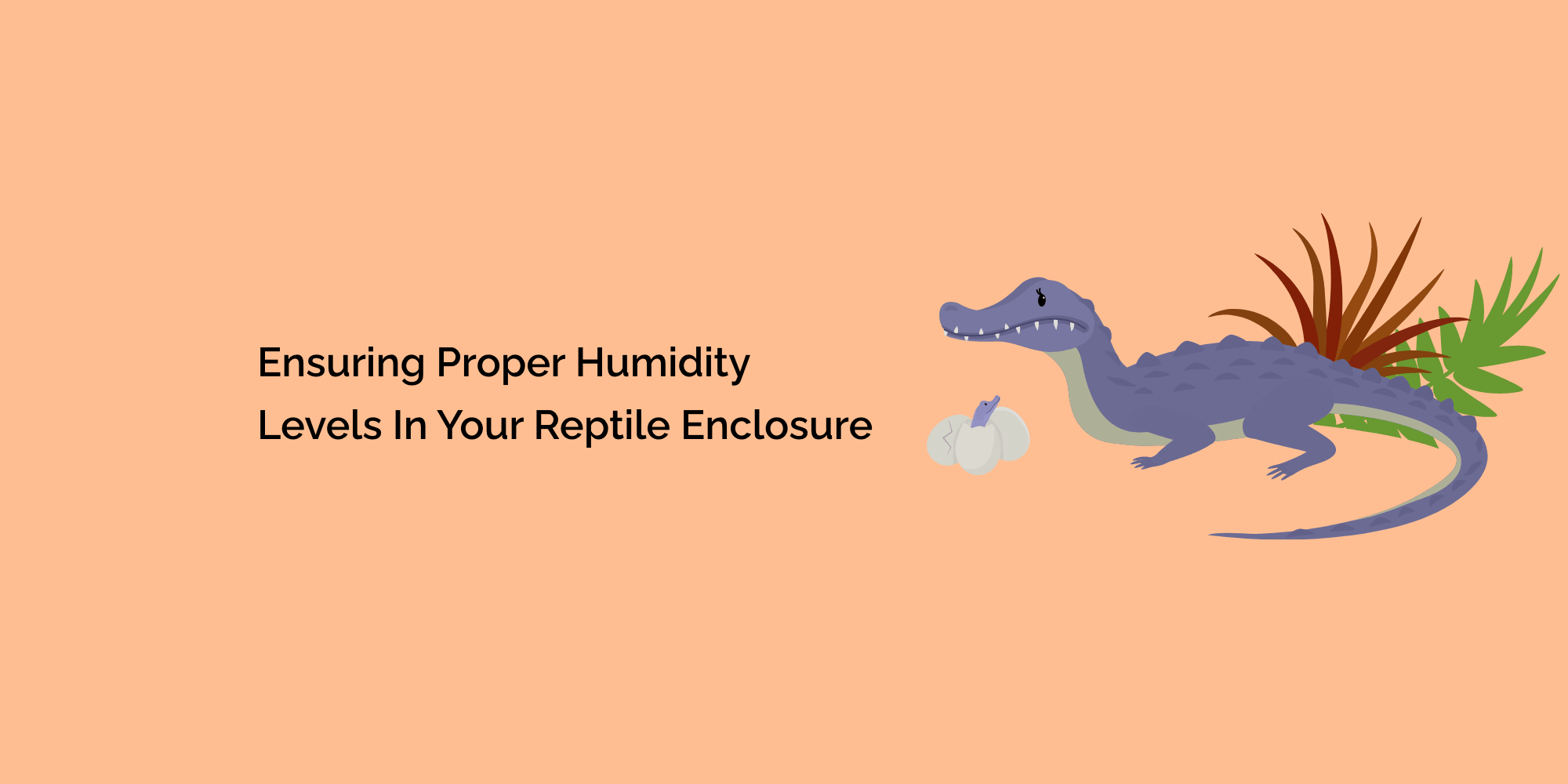Ensuring Proper Humidity Levels in Your Reptile Enclosure