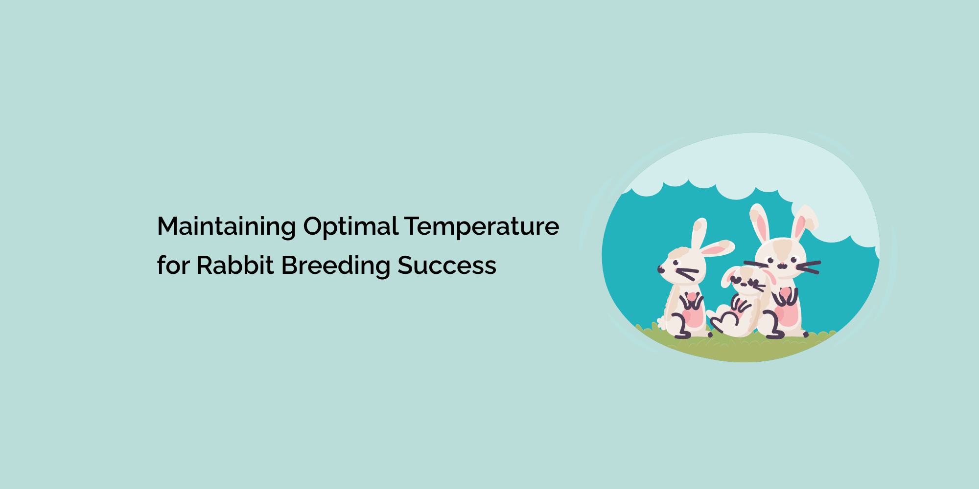 Maintaining Optimal Temperature for Rabbit Breeding Success tempCube