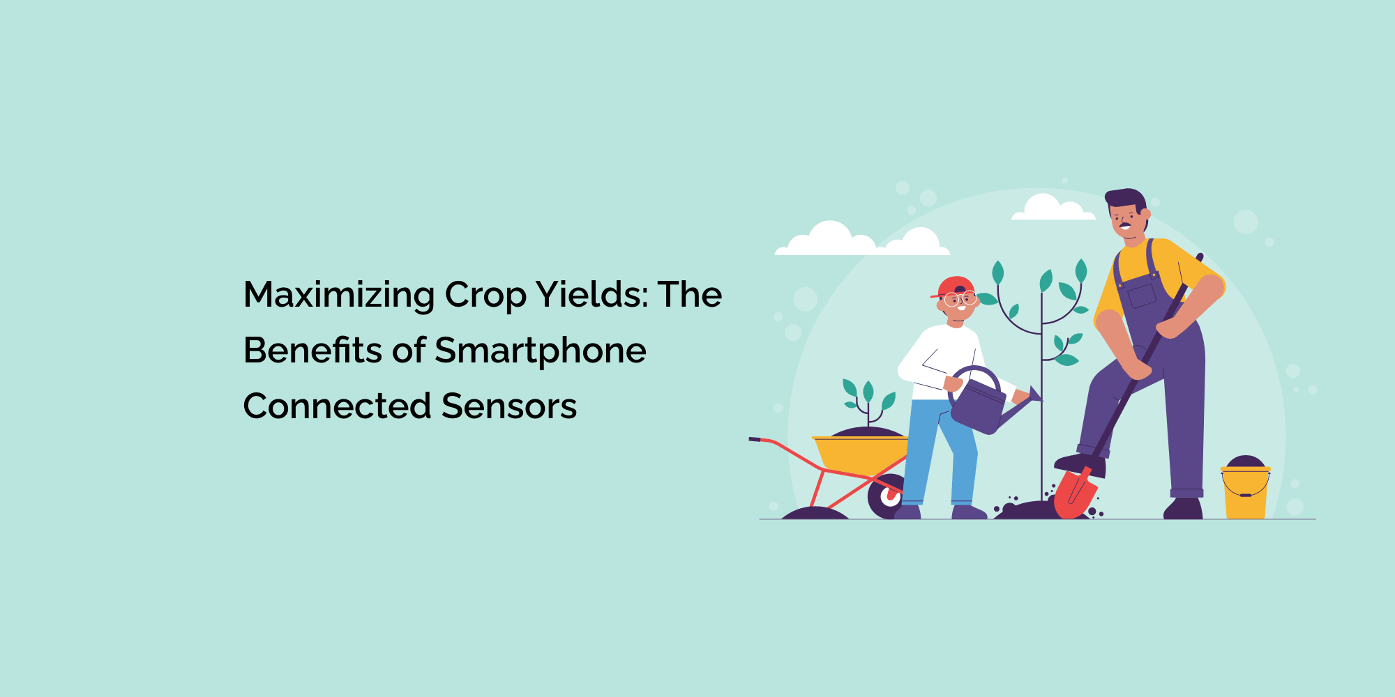 Maximizing Crop Yields: The Benefits of Smartphone-Connected Sensors