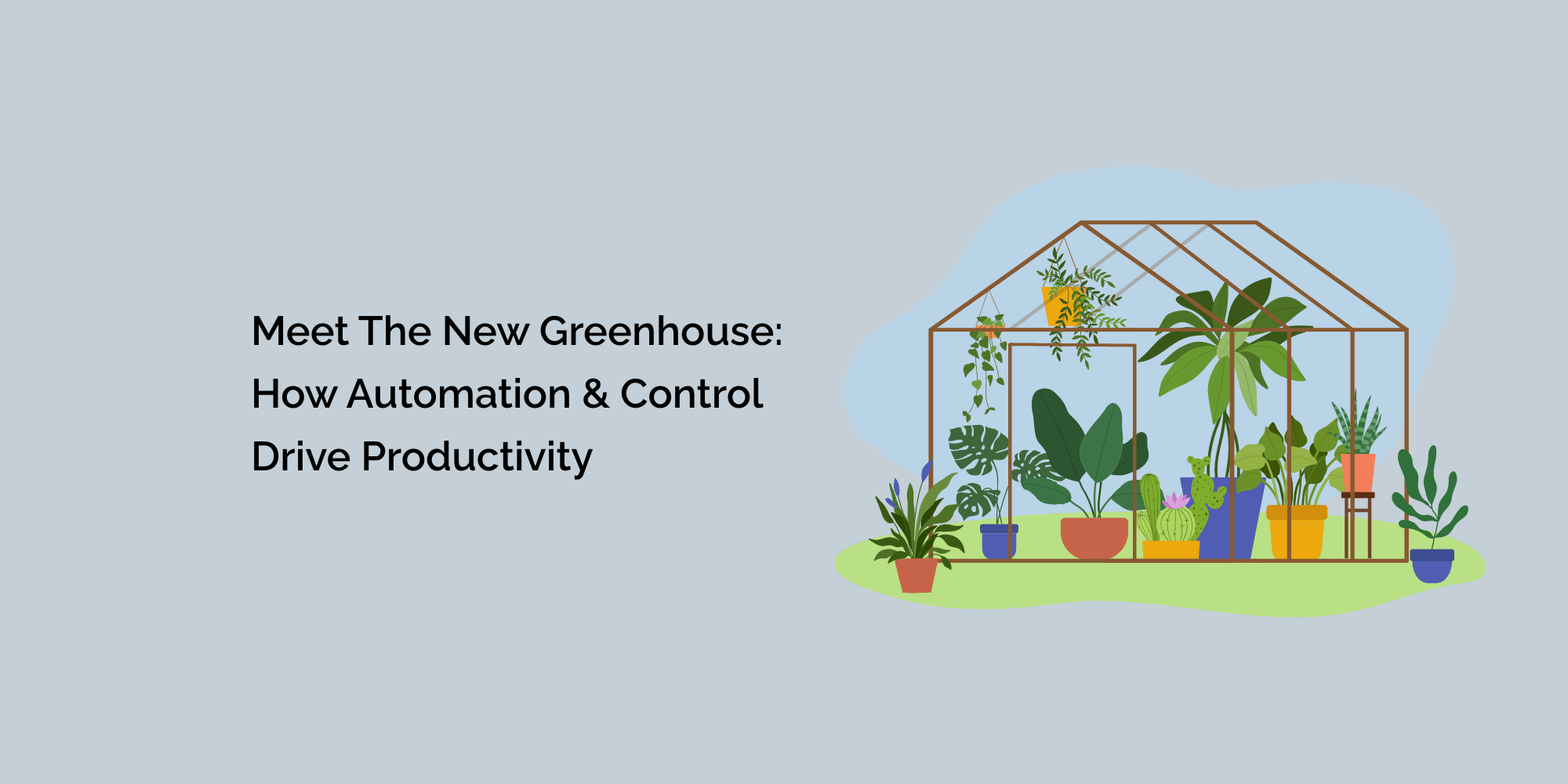 Meet the New Greenhouse: How Automation and Control Drive Productivity