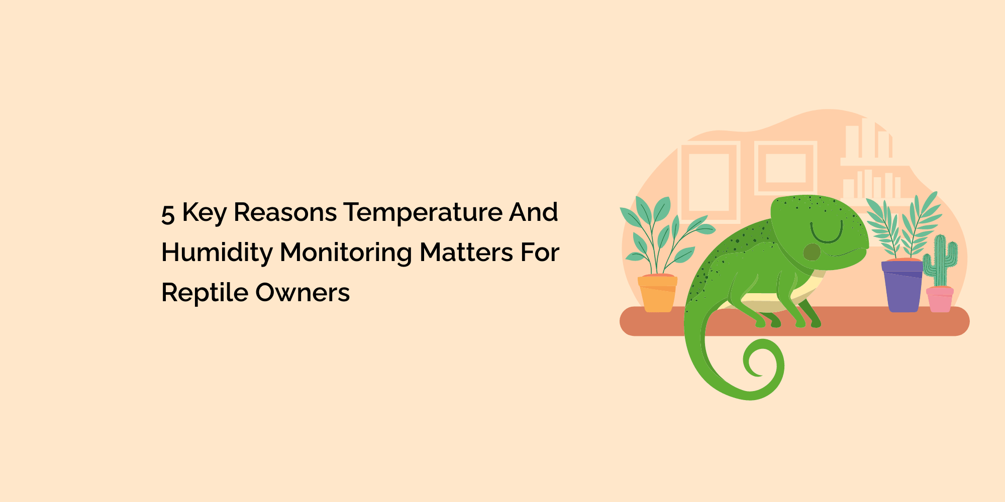 5 Key Reasons Temperature and Humidity Monitoring Matters for Reptile Owners